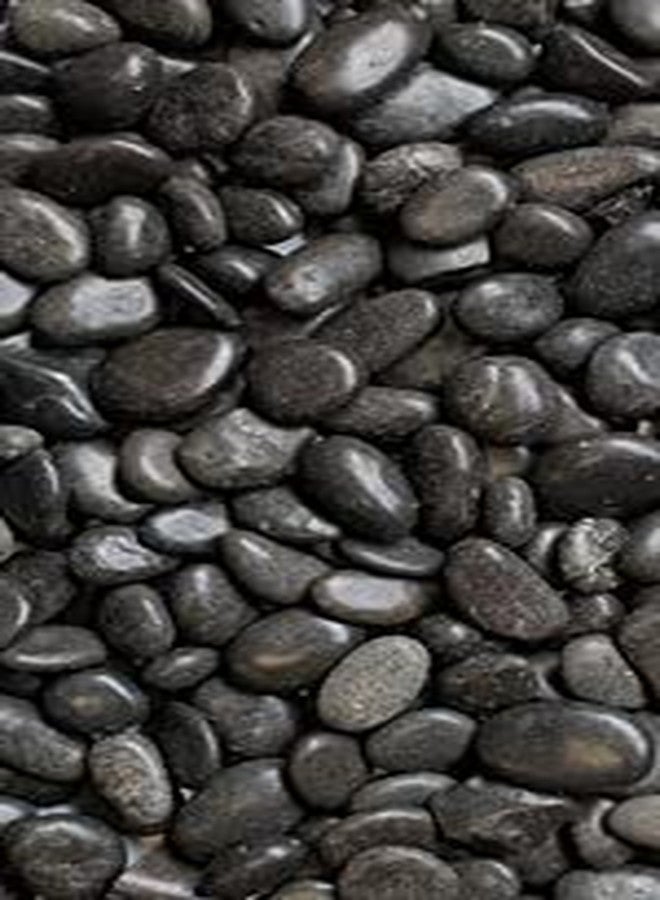 Ercole® Decorative Natural Finish Rock Stone Pebbles for Plants Pots Vase Filler Home Aquarium Garden Decor (10mm-35mm, Black, 3Kg) - Image 2
